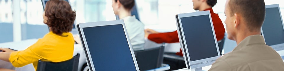 Employees using computers in an office